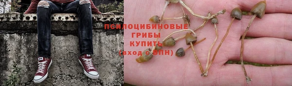 винт Пересвет