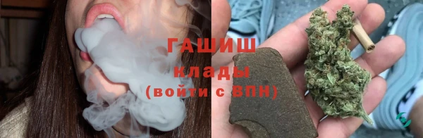 винт Пересвет