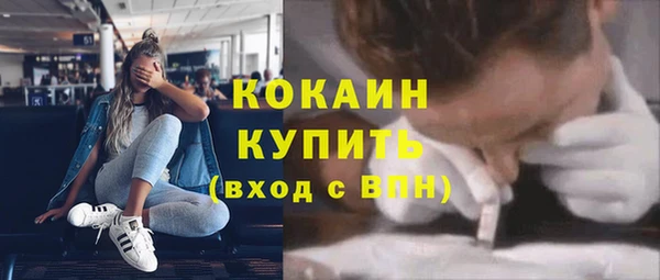 винт Пересвет