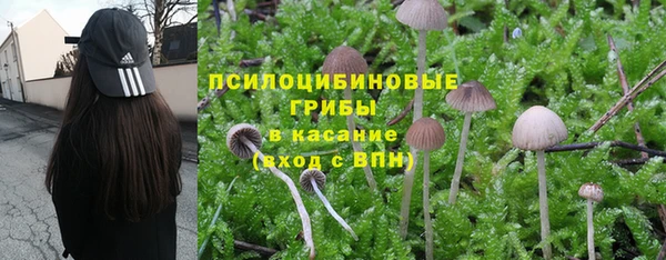 герыч Покровск