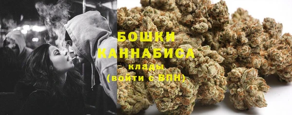винт Пересвет