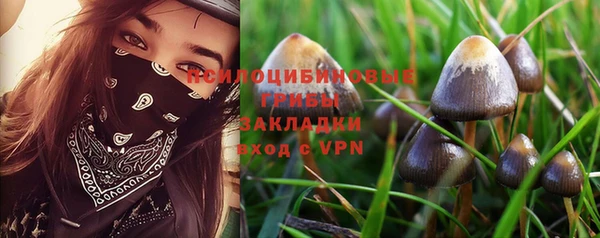 винт Пересвет