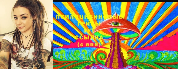 винт Пересвет