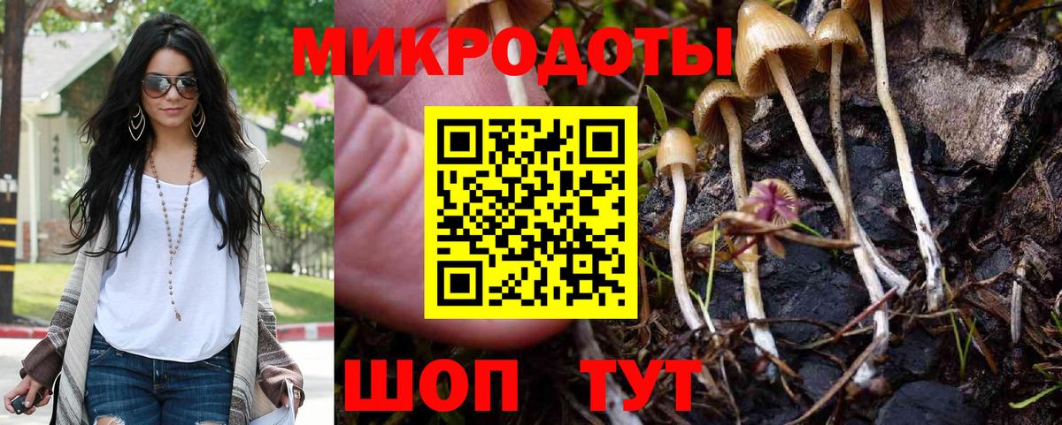Псилоцибиновые грибы прущие грибы Светлоград